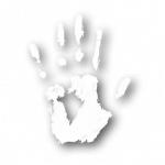 cropped-Hand.png cropped-Hand.png